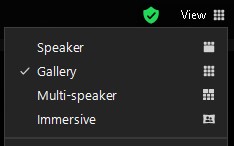 The Zoom application's View options with the Gallery View selected